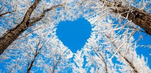 Ударять сильні морози: синоптик розповів, на яку погоду чекати в Україні до кінця тижня