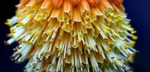 Гороскоп на 26 травня для всіх знаків зодіаку: найнебезпечніший день місячного циклу