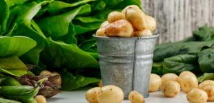 В Україні ціни на популярний овоч почали стрімко знижуватися