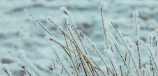 Мороз, місцями дощі: прогноз погоди на 7 грудня Синоптики прогнозують сніг, дощ і мороз у містах України.