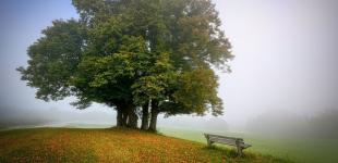 Погода здивує українців: прогноз на 13–14 вересня