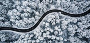 Гороскоп на 26 грудня для всіх знаків зодіаку: день переходу до рішучих дій