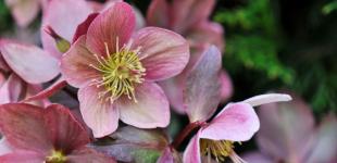 Гороскоп на 23 березня для всіх знаків зодіаку: день, коли потрібно буде зруйнувати старе заради нового