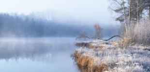 Гороскоп на 26 листопада для всіх знаків зодіаку: день вселюдних лінощів