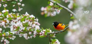 Погода в Україні: теплі дні ще трохи затримаються, але варто чекати на похолодання