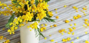 Гороскоп на 8 березня для всіх знаків зодіаку: день, коли потрібно відпочити