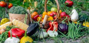 В Україні втрати зібраних овочів і фруктів можуть сягати до 60%: які причини