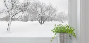 Гороскоп на 4 січня для всіх знаків зодіаку: день, коли нікому не можна завдавати болю