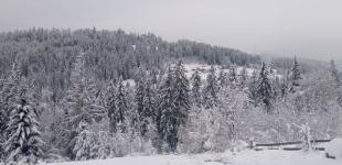 Синоптики попереджають про негоду 18 січня: де сильно погіршиться погода