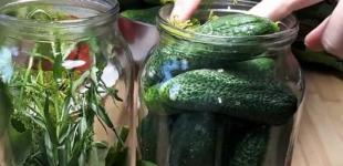 Як закрити огірки холодним способом без стерилізації та оцту