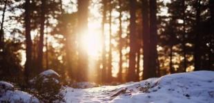 Почнемо чекати весну: якою буде в Україні погода в день зимового сонцестояння