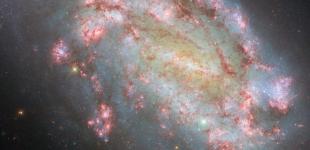 Вчені знайшли новий спосіб пошуку інопланетян: в чому він полягає