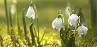 З позначкою мінус. Скільки ночей до кінця березня буде зимова погода