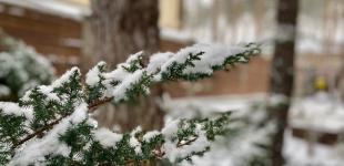 Гороскоп на 29 грудня для всіх знаків зодіаку: день тихої радості