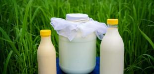 В Україні значно здорожчали молочні продукти: що буде далі з цінами