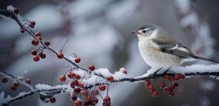 Гороскоп на 1 лютого для всіх знаків зодіаку: дні, які астрологи називають революційними