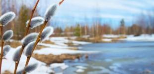 Останнього дня зими в Україні прогнозують до +13° і без опадів