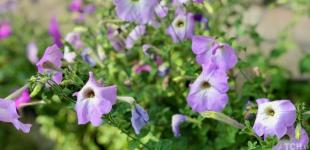 Гороскоп на 30 серпня для всіх знаків зодіаку: день, коли потрібно переосмислити свої вчинки