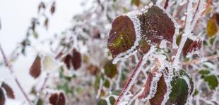 Гороскоп на 12 лютого для всіх знаків зодіаку: день, коли нас випробуватимуть нас міцність