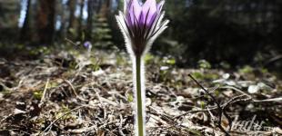 Гороскоп на 3 квітня для всіх знаків зодіаку: день, коли посилюються розумові здібності