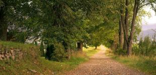 Якою погодою завершиться літо: прогноз на 31 серпня