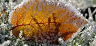 Жовтий рівень, морози вдень, подекуди мокрий сніг: прогноз погоди в Україні на 19 листопада