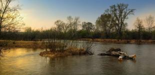 Якою буде погода в Україні 23 березня: прогноз від синоптиків