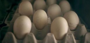 Чотири продукти, у яких міститься добова доза вітаміну D