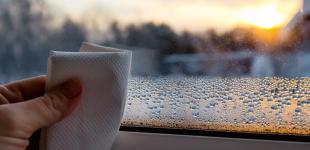 Поставте на зиму тарілку з сіллю на підвіконня: ви будете приємно здивовані результатом