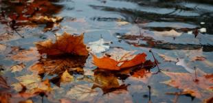 Прогноз погоди на вихідні: синоптикиня попередила про 