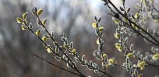 Погоду в Україні визначатиме антициклон Jasper: синоптикиня дала прогноз і назвала дату потепління