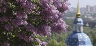 Сильні заморозки скують Україну: названо три області, де буде найхолодніше