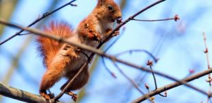 Прогноз погоди на 14 лютого: в Україні буде сніг з дощем, температура - до 6° тепла