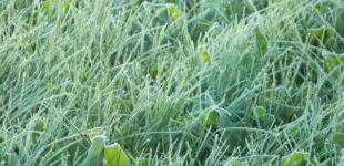 От заморозков до 21° тепла: прогноз погоды в Украине на выходные, 16-17 апреля