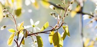 Гороскоп на 11 березня для всіх знаків зодіаку: день, коли не можна давати волю почуттям