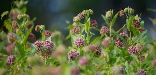 Гороскоп на 8 червня для всіх знаків зодіаку: день, коли прорив можна очікувати в будь-якій сфері життя