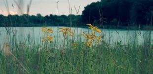 Погода на 24 липня: де в Україні розігріє до +34 градусів