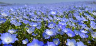 Дощі, грози та сонце: якою буде погода в регіонах України 18 травня