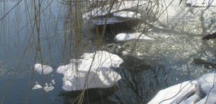 Коли до України прийде потепління – синоптикиня назвала дату