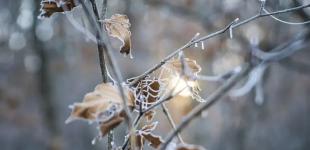 Вночі зимовий мороз, а вдень — комфортна осінь: прогноз погоди в Україні на неділю