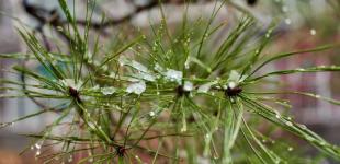 Гороскоп на 15 січня для всіх знаків зодіаку: день кардинальних змін у всіх сферах життя