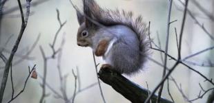 До України йде похолодання: де і коли чекати на сніг з дощами