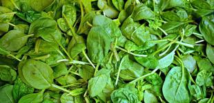 Дієтологи назвали овоч номер один для довголіття