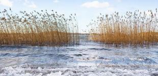 Синоптики оголосили в Україні штормове попередження: де вируватиме негода