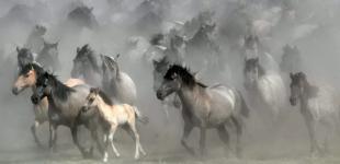 Що зірки нам пророкують: гороскоп на 12-18 травня 2025 року