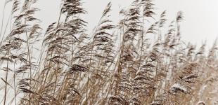 Гороскоп на 11 січня для всіх знаків зодіаку: день, коли не можна допускати поганих думок