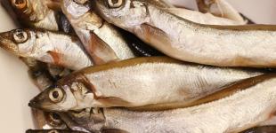 Розкрито неочевидну користь від вживання мойви: ця дрібна риба інколи краща за червону