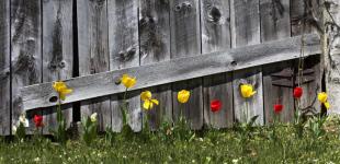 Коли до України прийде стабільне потепління: прогноз синоптикині