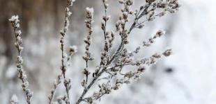 Синоптикиня здивувала українців прогнозом погоди на Провідну неділю