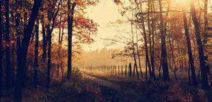 Коли день осіннього рівнодення 2024 року: що це за дата, чим вона особлива